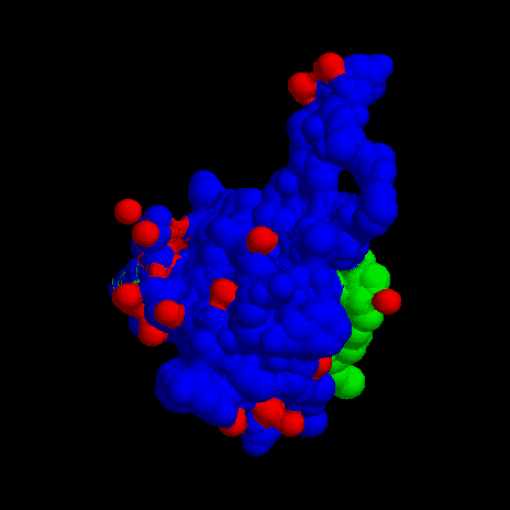 IGF-1 LR3